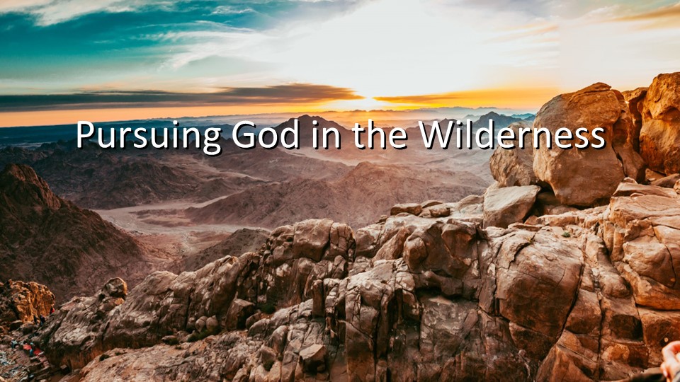 Pursuing God in the Wilderness